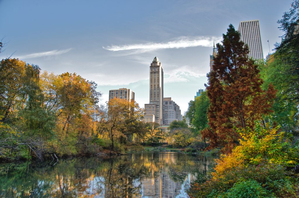 New York City State
