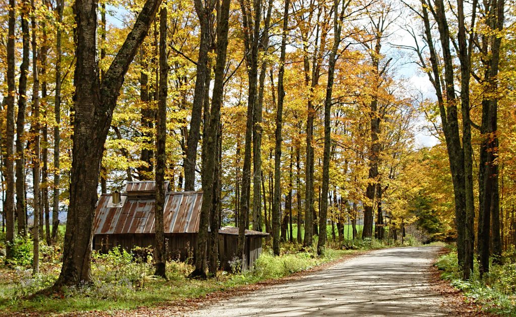 Vermont State