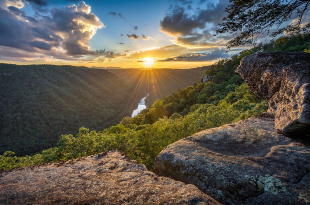 Virginia State